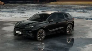 Cupra Terramar Tribe Edition