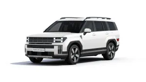 Hyundai Santa Fe Calligraphy