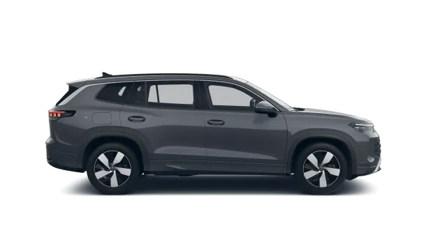 VW Tayron People