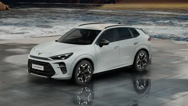 Cupra Terramar VZ