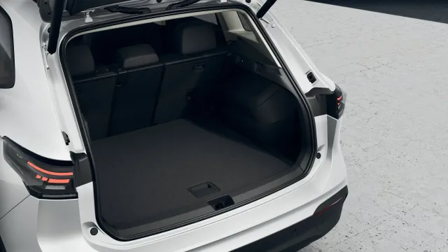 VW Tiguan People