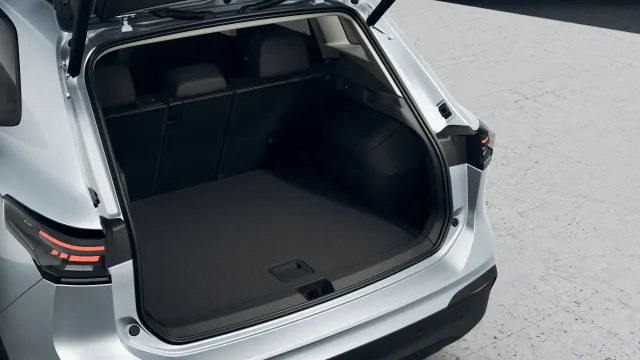 VW Tiguan People