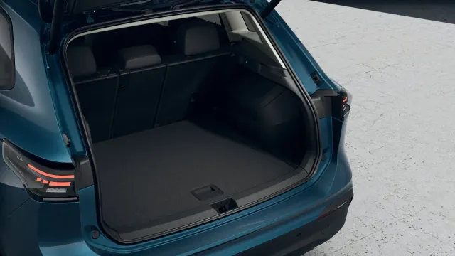 VW Tiguan People
