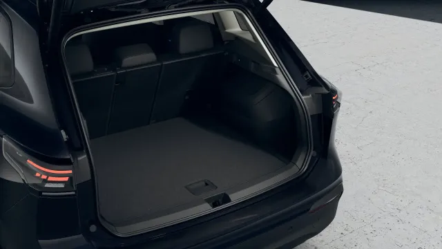 VW Tiguan People