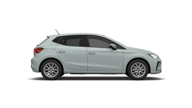 Seat Ibiza Style
