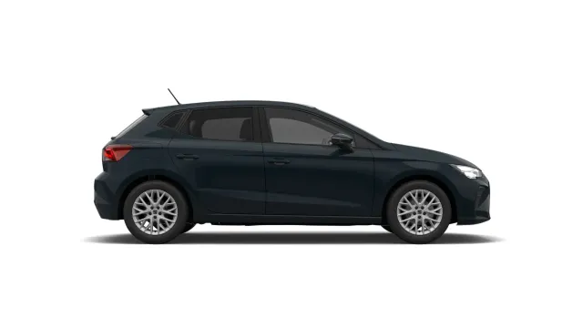 Seat Ibiza Style