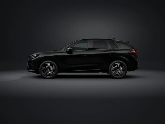 Cupra Terramar Tribe Edition