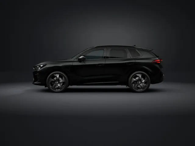 Cupra Terramar Tribe VZ Edition